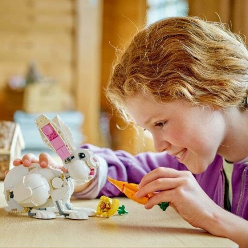 Three-in-one brick-built animal toys on a table